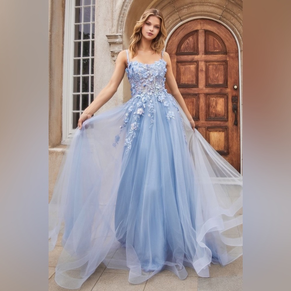 NWT Floral Appliqué A Line Gown